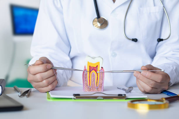 Best Emergency Wisdom Teeth Removal in Hammond, WI
